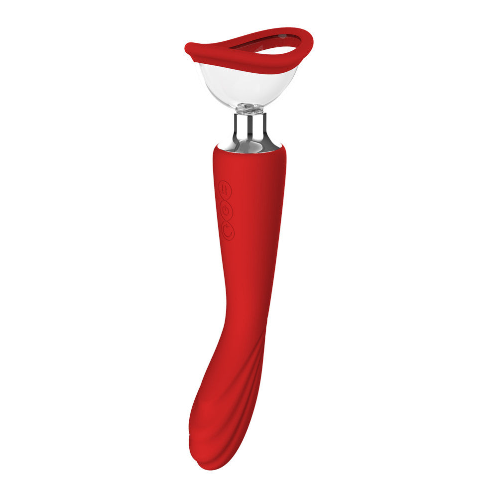 2-in-1 Vaginal pump and vibrator