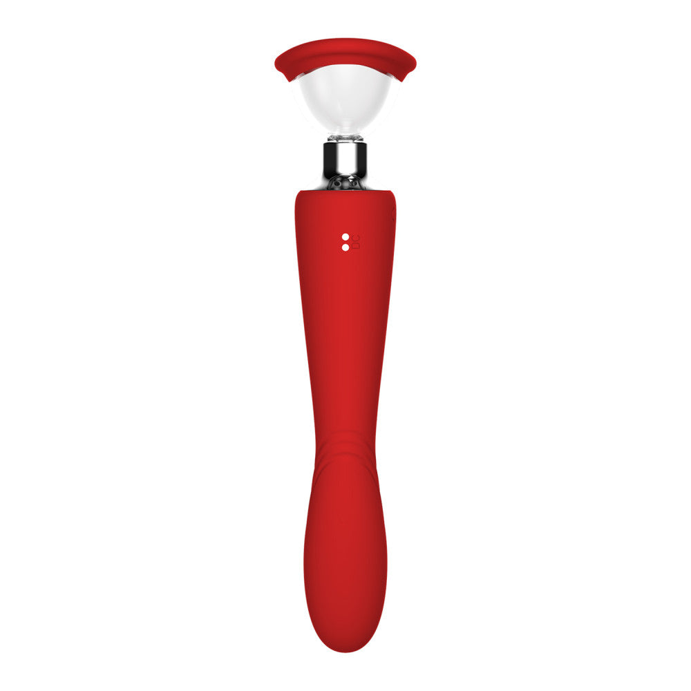 2-in-1 Vaginal pump and vibrator