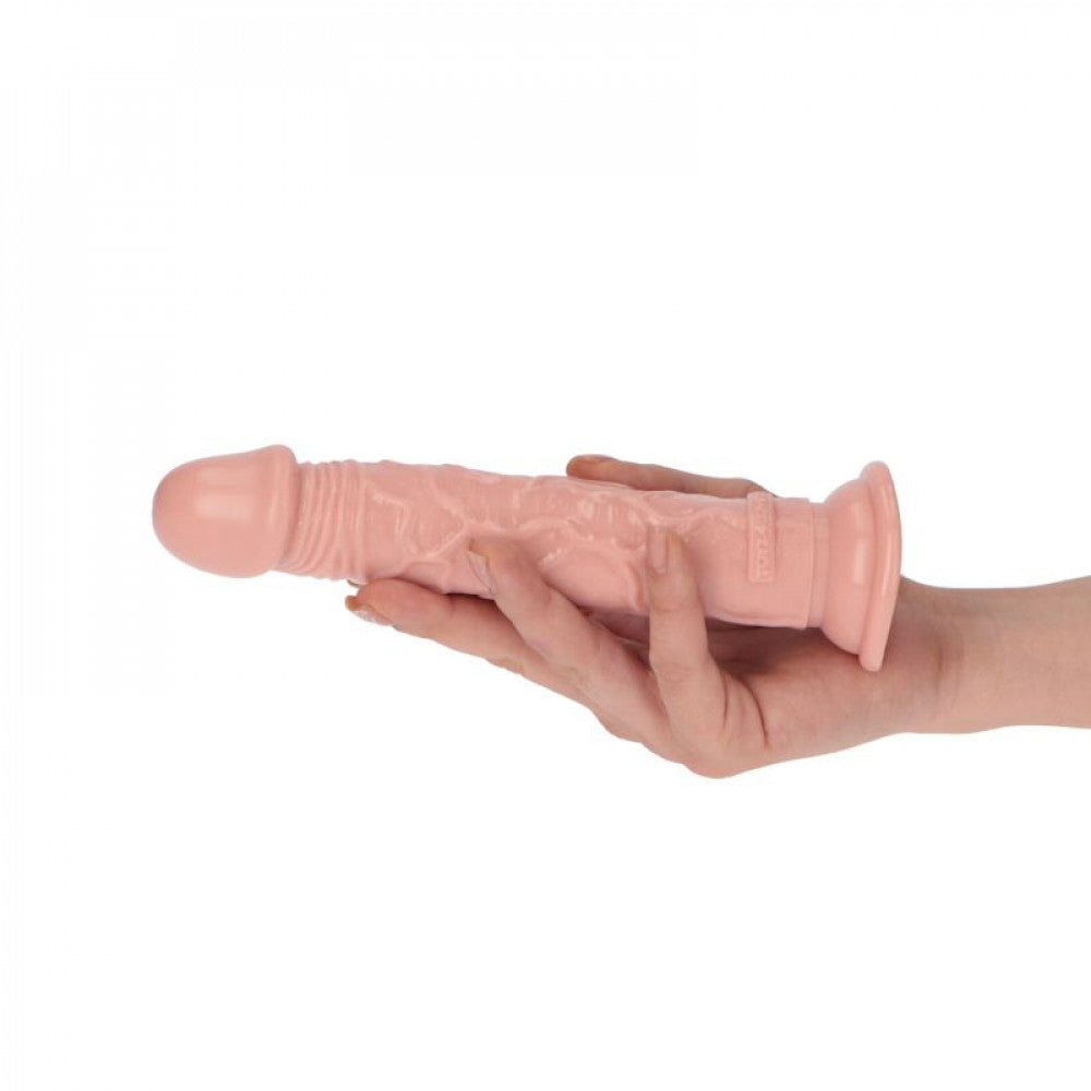 Amedeo Realistic Dildo with Vacuum Base