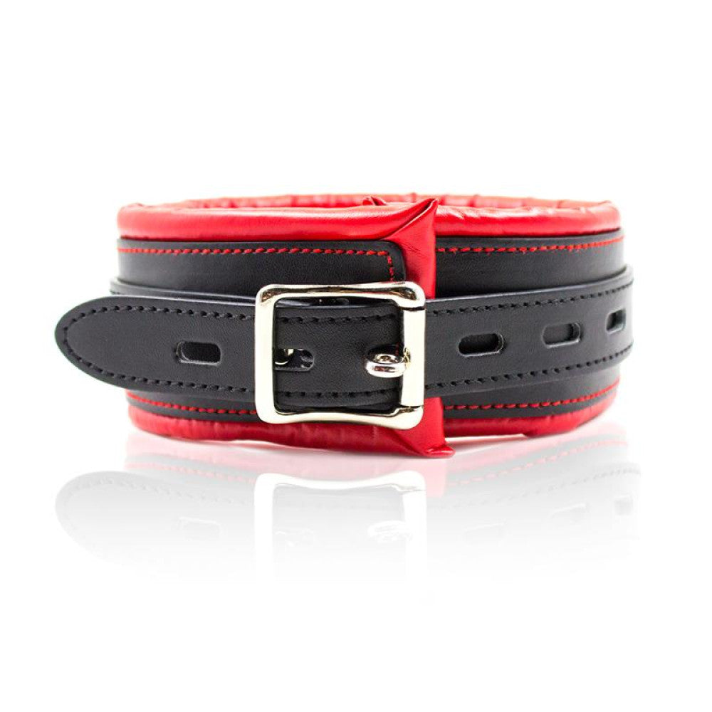 Fetish Addict Collar & Leash Red/Black
