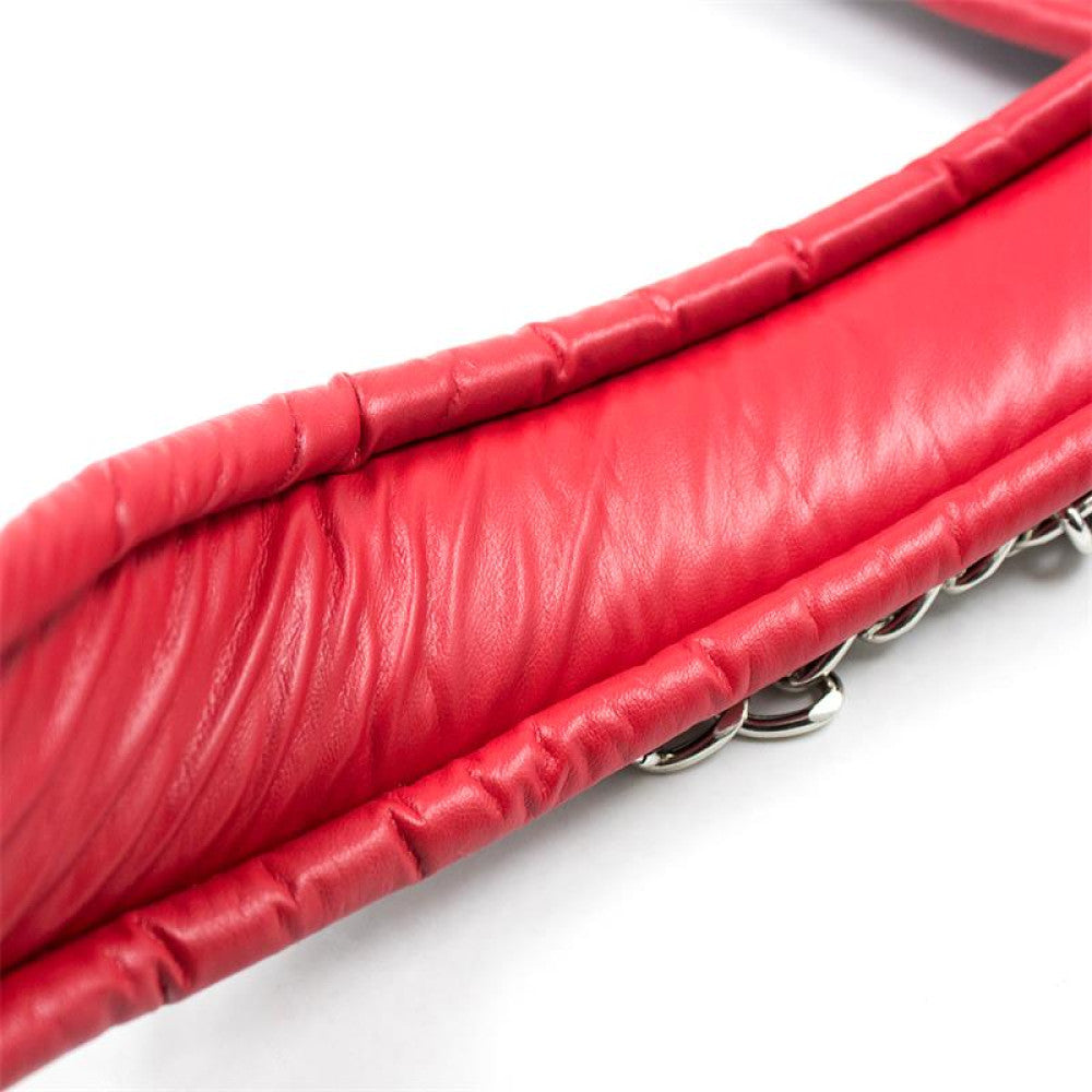Fetish Addict Collar & Leash Red/Black