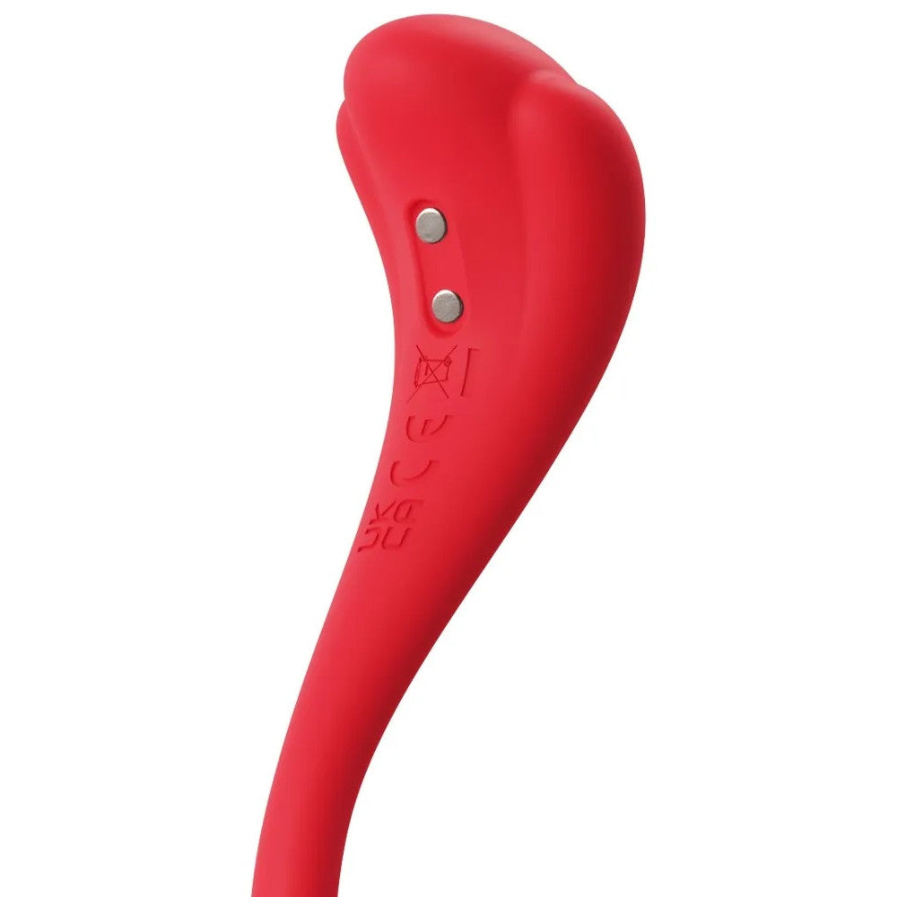 Interactive Vibrator Svakom Phoenix Neo 2