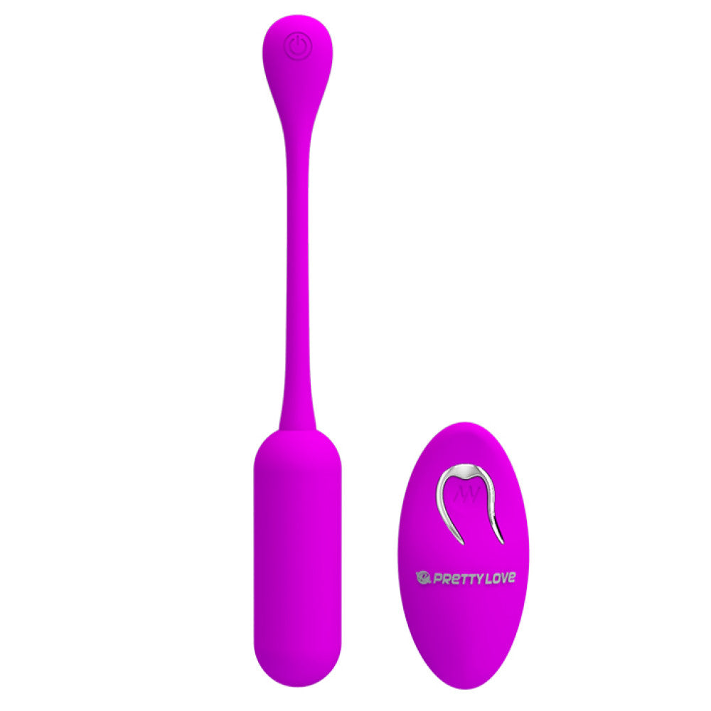 Lechies Powerful Vibro Egg with Remote