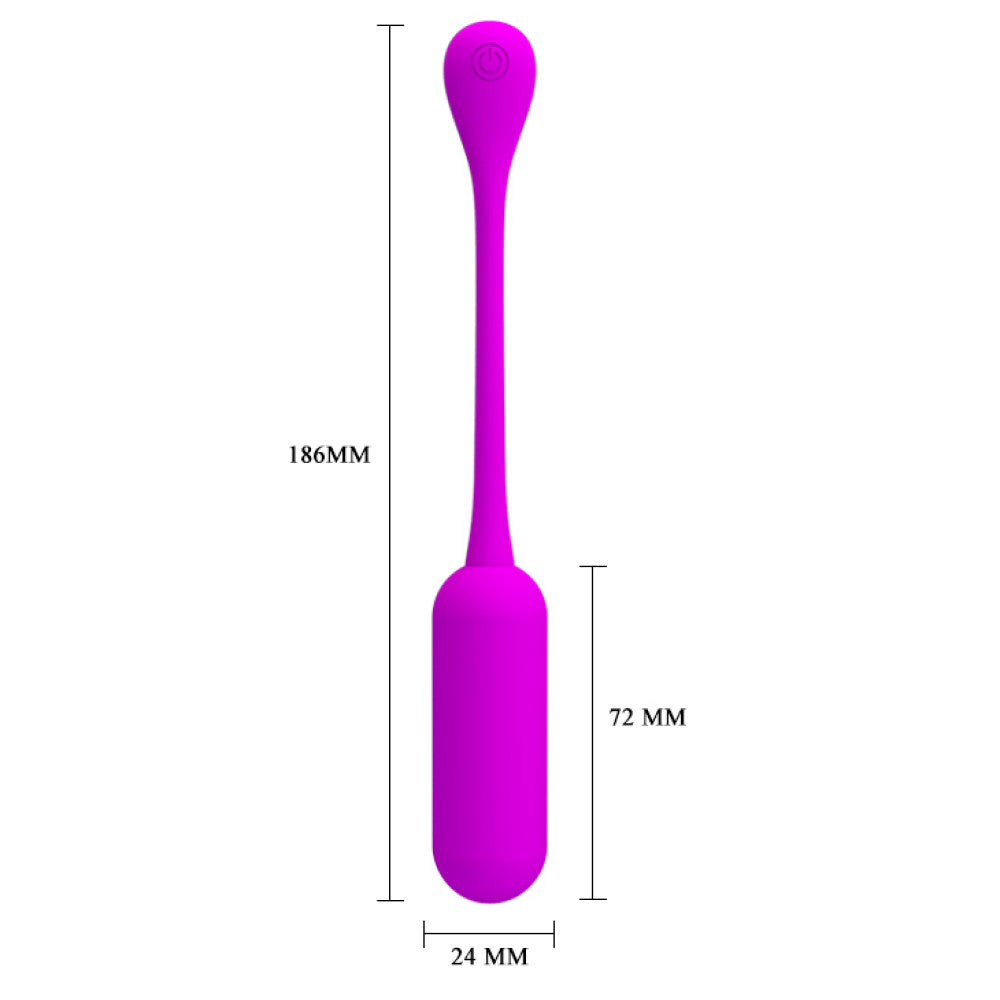 Lechies Powerful Vibro Egg with Remote