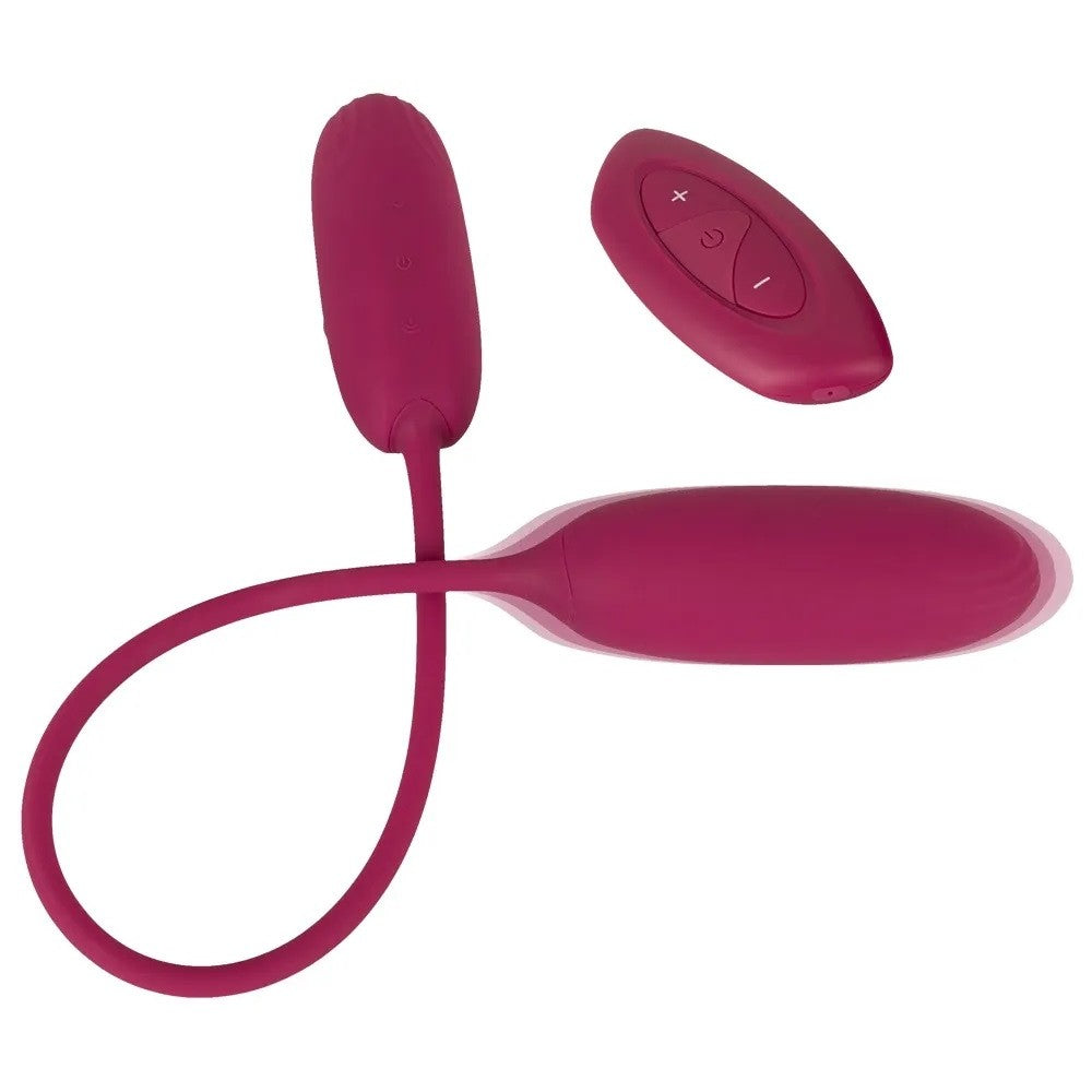 Love Egg Duo Double Vibrating Egg & Remote