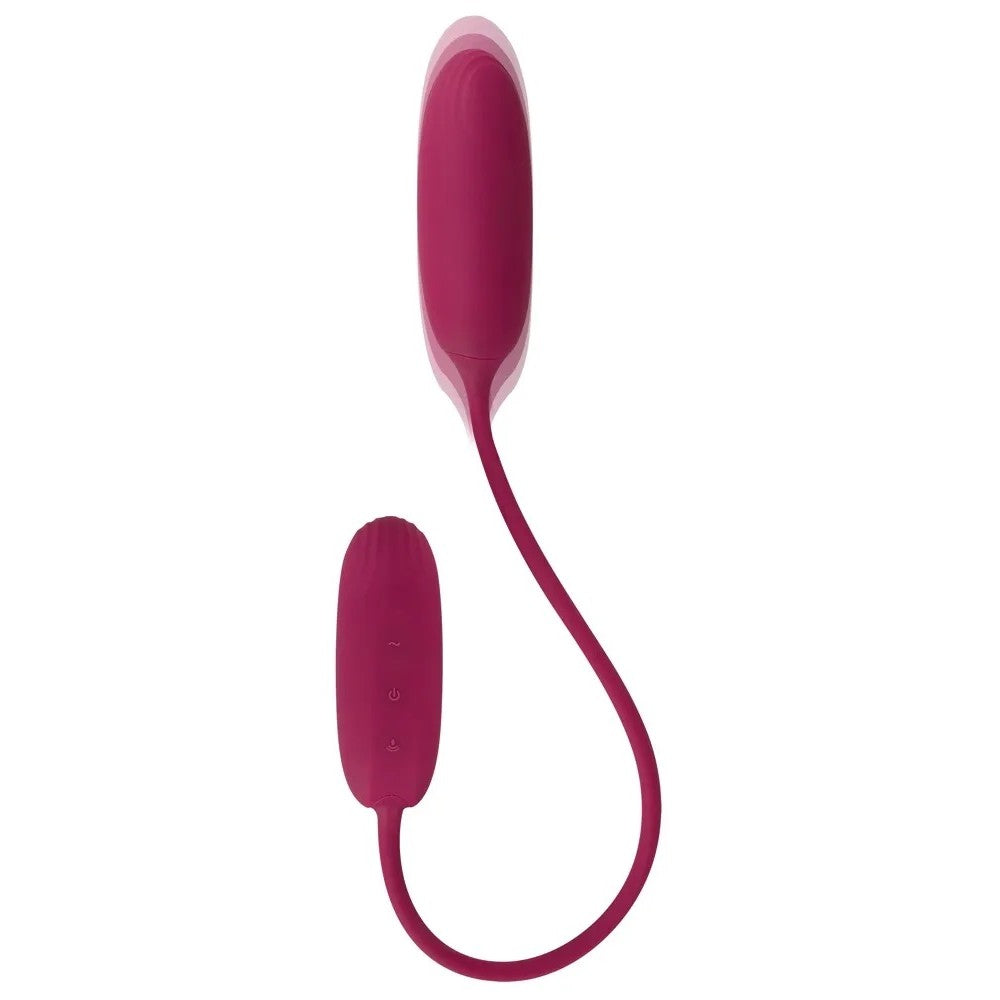 Love Egg Duo Double Vibrating Egg & Remote