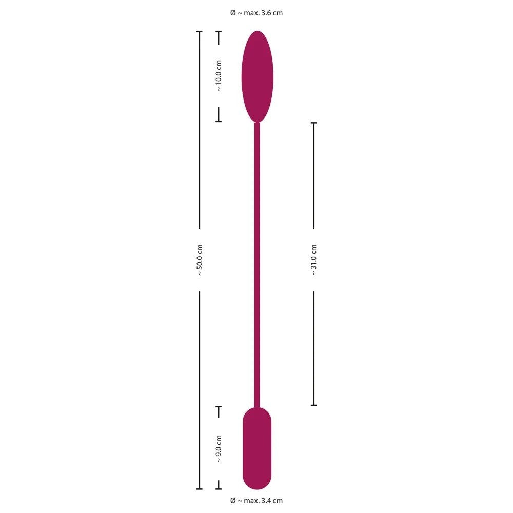 Love Egg Duo Double Vibrating Egg & Remote