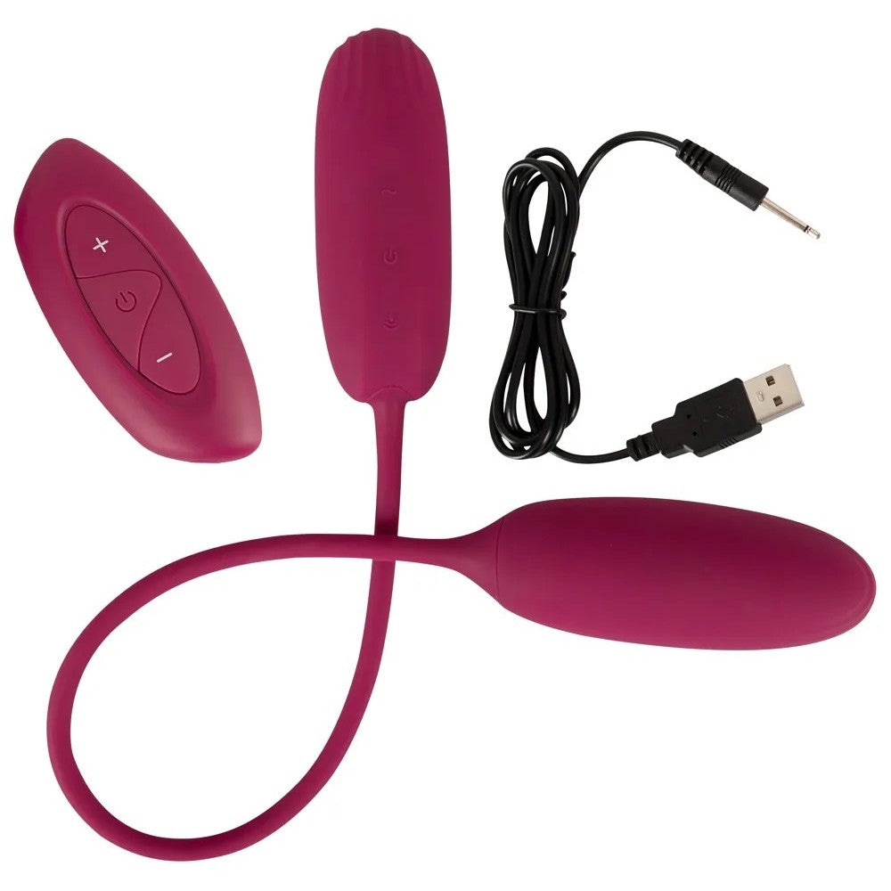 Love Egg Duo Double Vibrating Egg & Remote