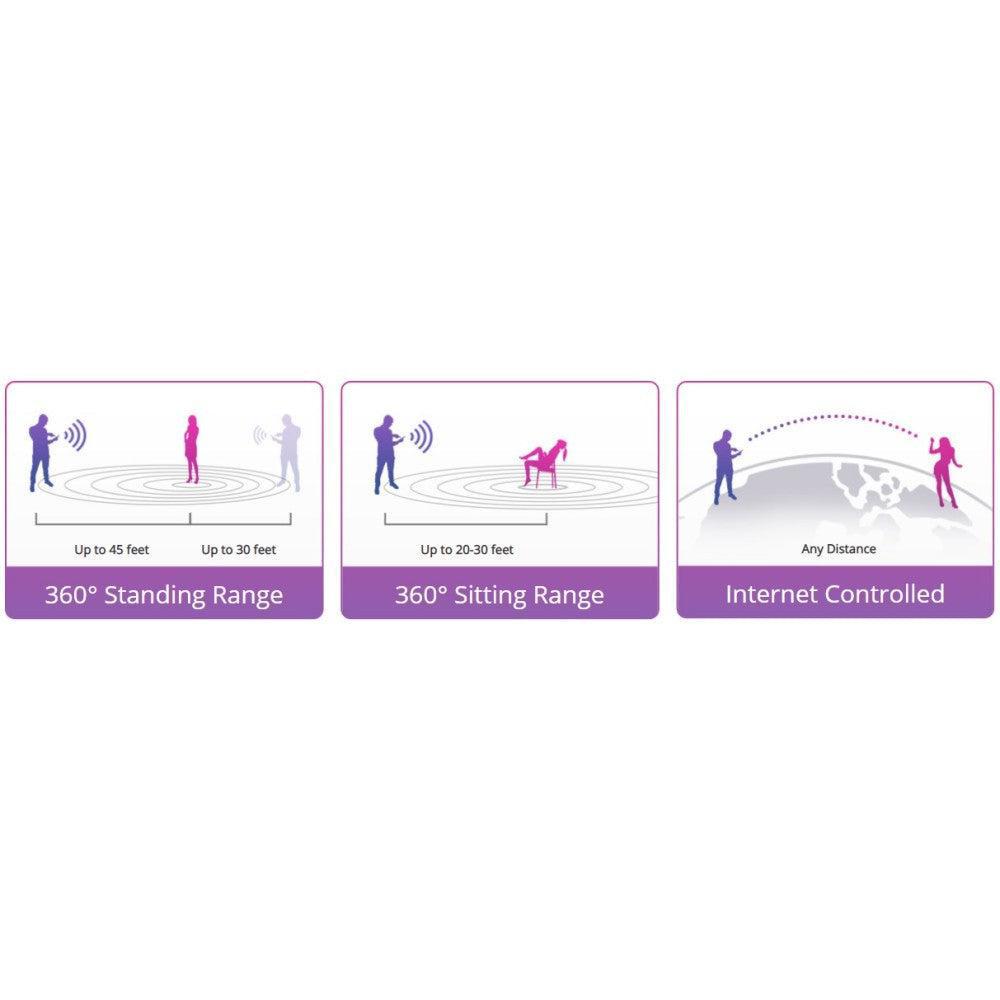 Lovense Ferri App Controlled Knicker Vibrator