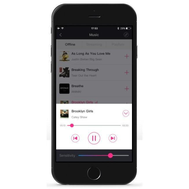 Lovense Ferri App Controlled Knicker Vibrator