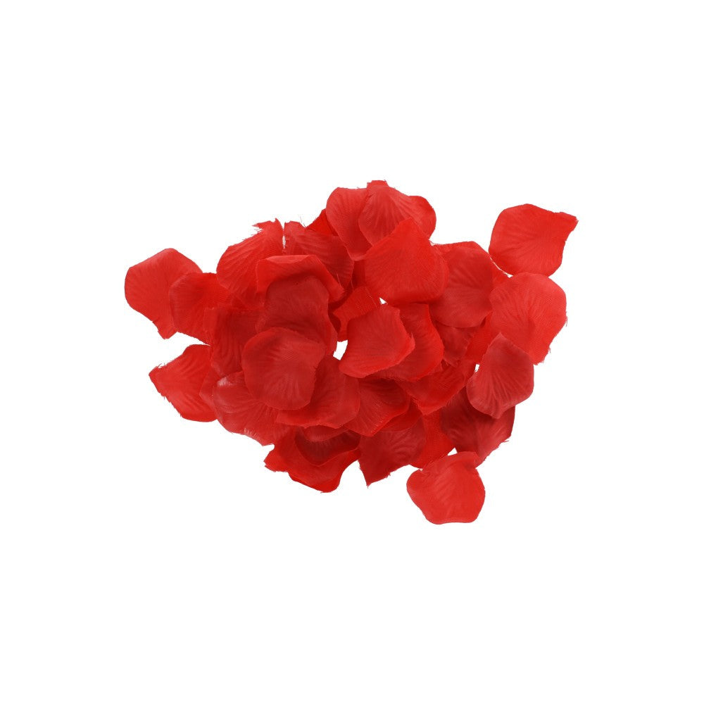 Lovetoy Starter Kit 10-piece Sex Toy Set