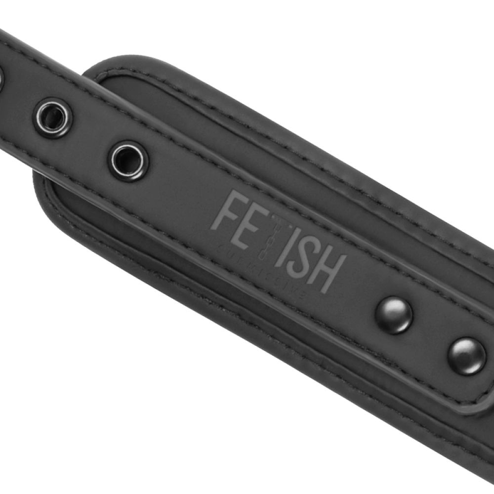 Fetish Submissive BDSM Collar & Leash