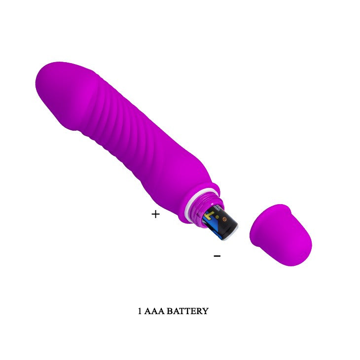 Pretty Love Stev Small Silicone Vibrator Purple