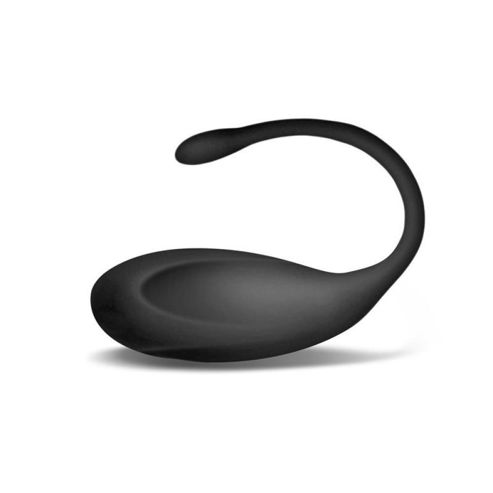 Yiggo Rechargeable Vibrating Egg with Remote