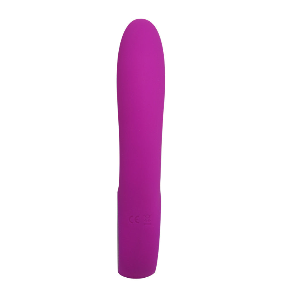 Alston Silicone Rechargeable Vibrator