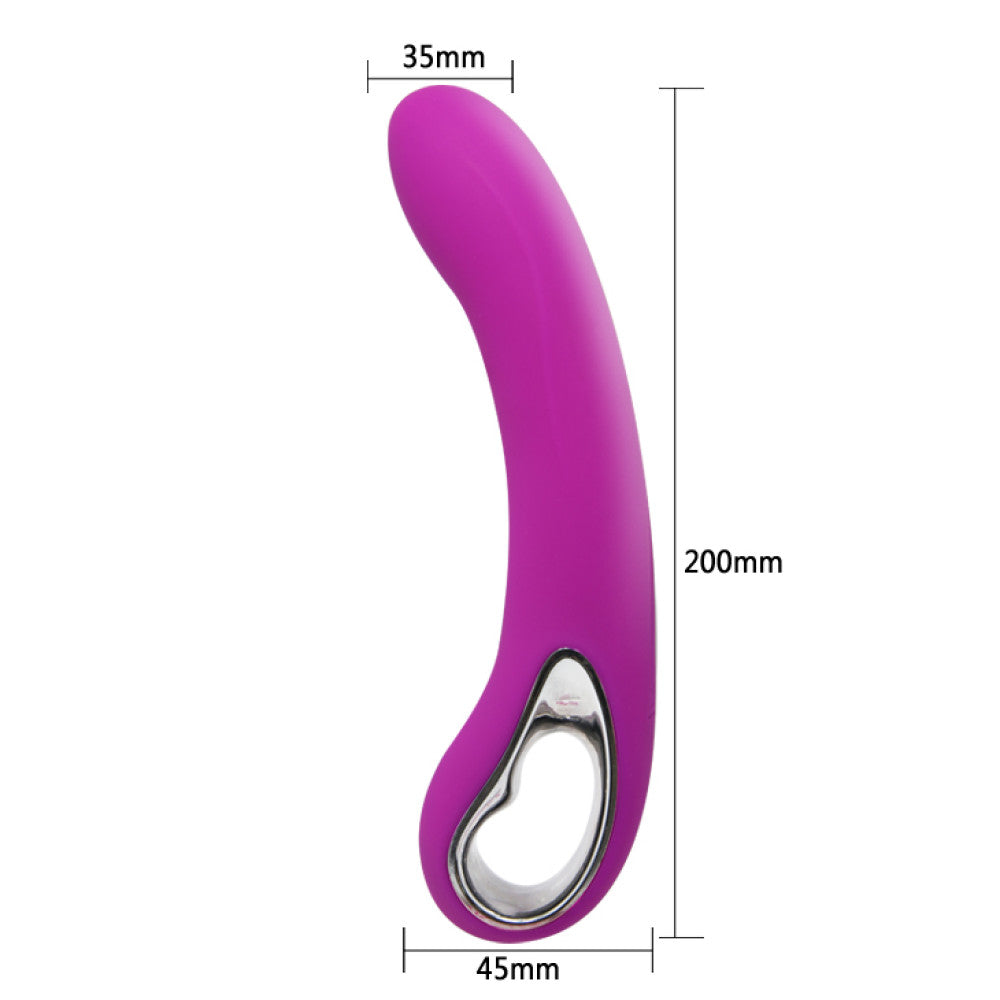 Alston Silicone Rechargeable Vibrator