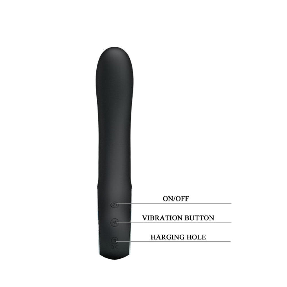 Alston Silicone Rechargeable Vibrator Black 20cm.