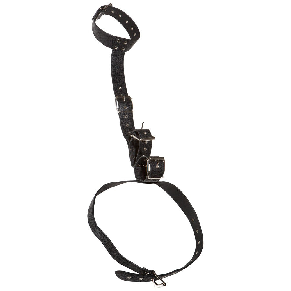 Bad Kitty Adjustable Collar with Wrist Restraints