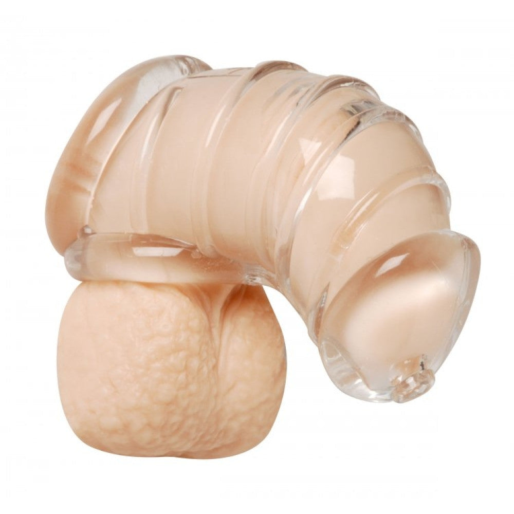 Chastity Cage Flexible Cock Cage
