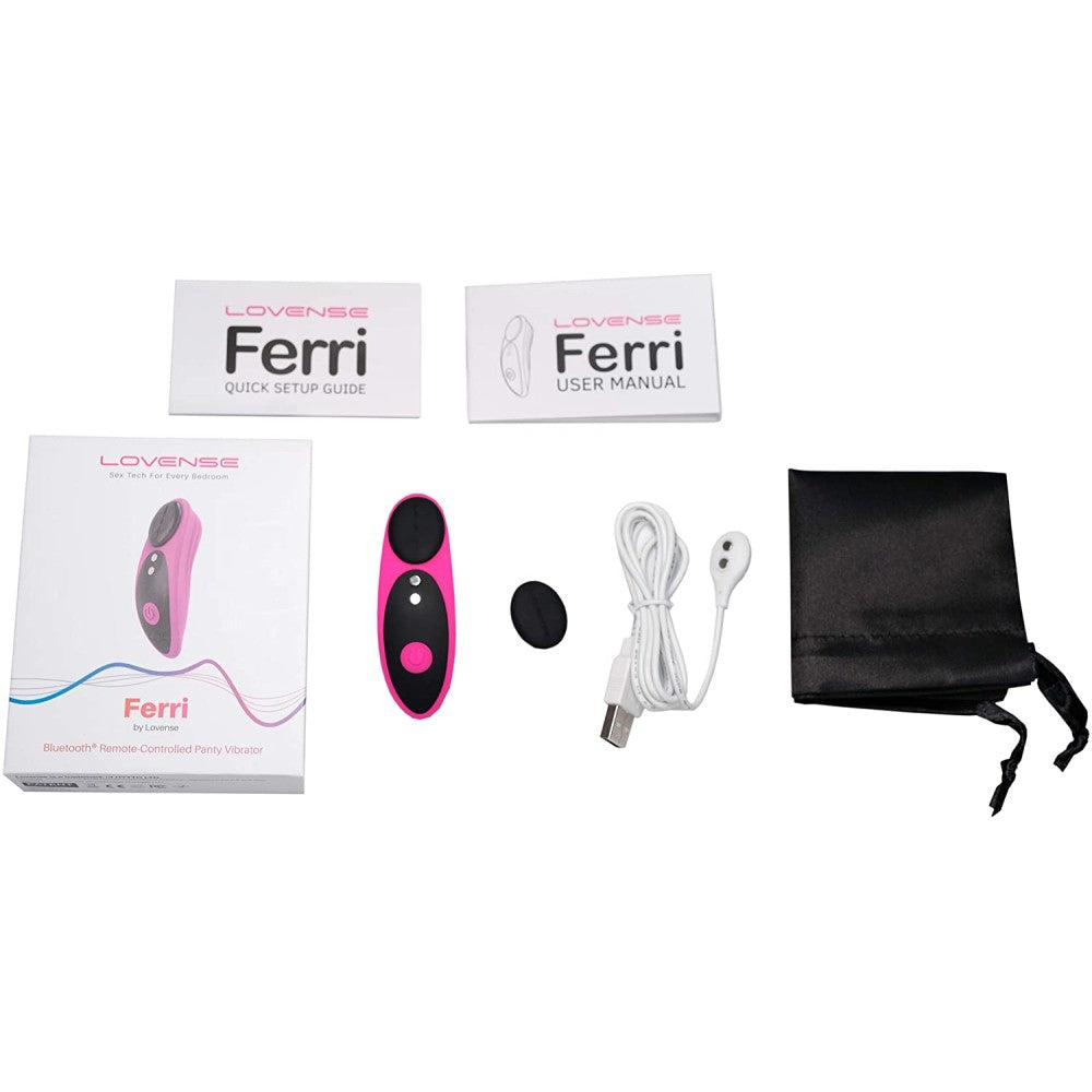 Clitoral stimulator with underwear attachment Lovense Ferri with App