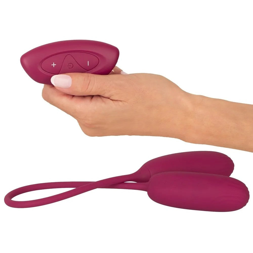 Double vibrating egg and remote Love Egg Duo