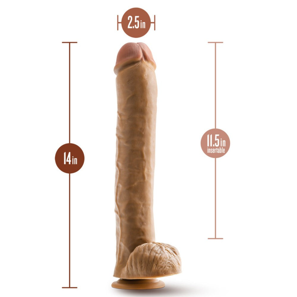 Dr. Big Realistic Testicle Dildo Skin Dr. Michael 14" mocha