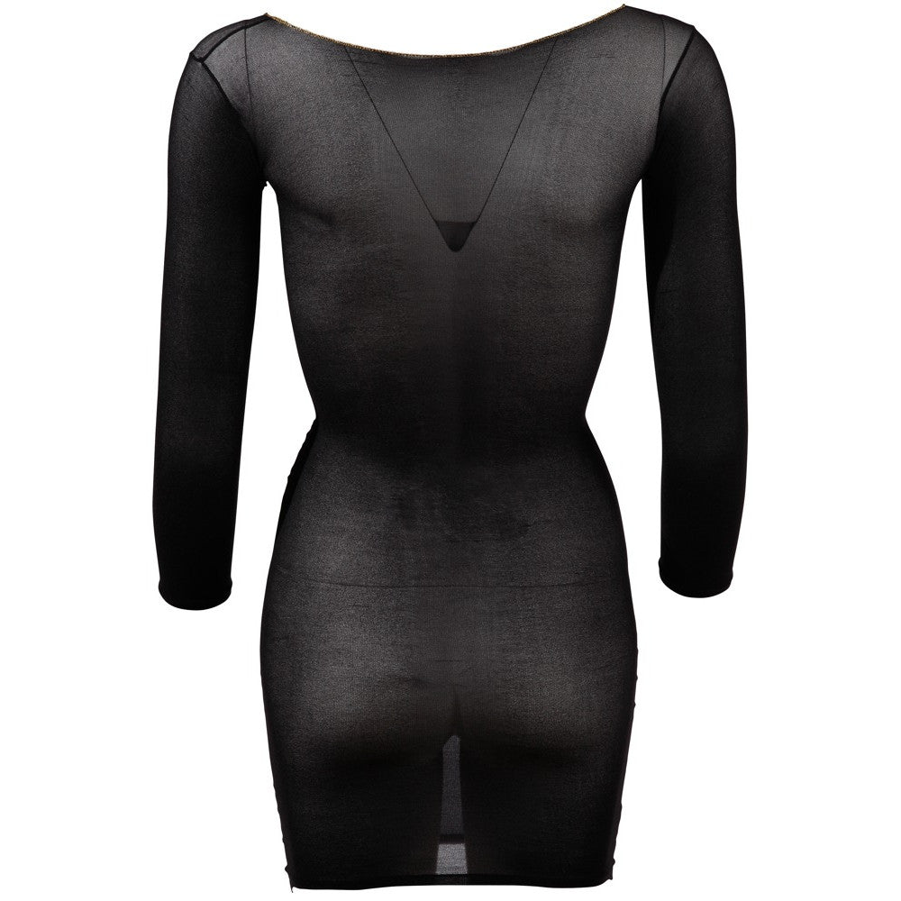 Erotic Nylon Long Sleeve Mini Dress