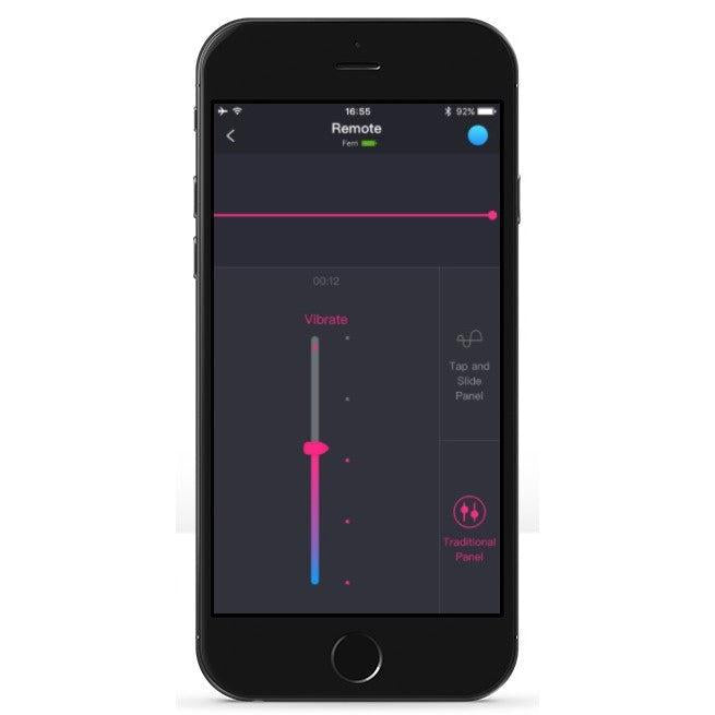 Lovense Ferri App Controlled Knicker Vibrator