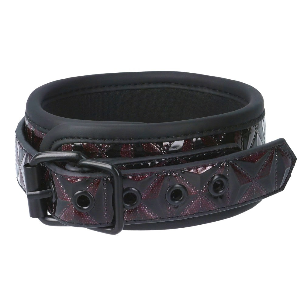 Luxury Collar with Lead Blaze Purple