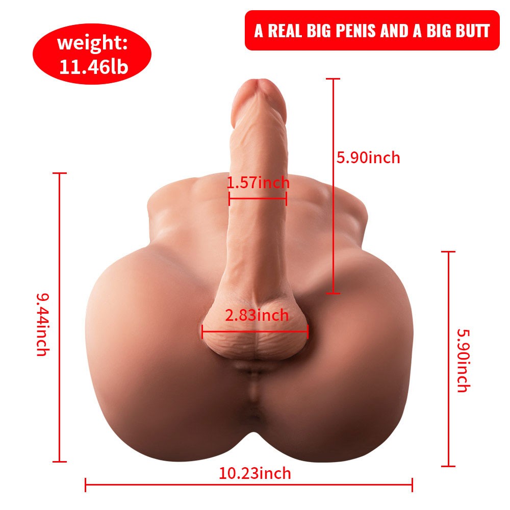 Realistic masturbator male torso with movements and vibrations Bartlett