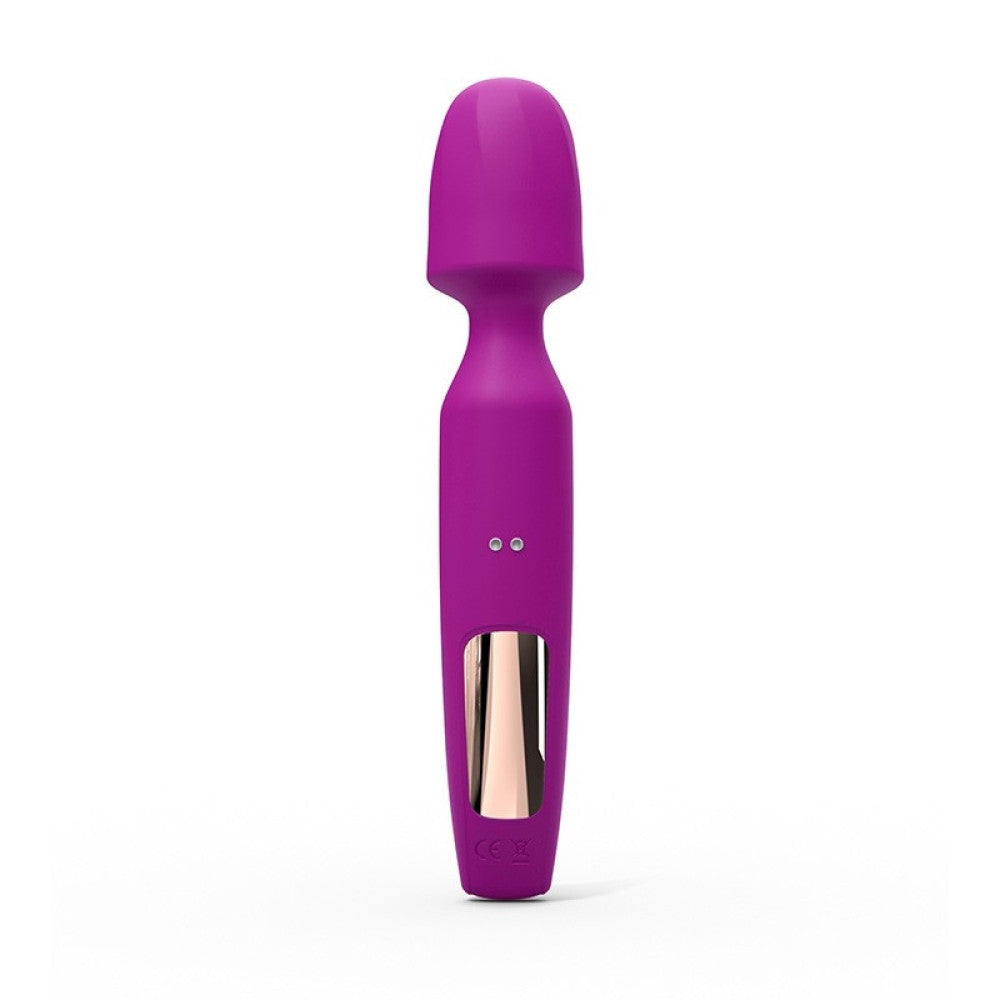 Rechargeable 3 in 1 Wand massager with attachments R-evolution pink