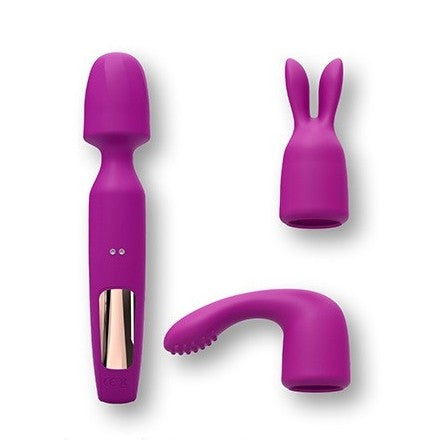 Rechargeable 3 in 1 Wand massager with attachments R-evolution pink