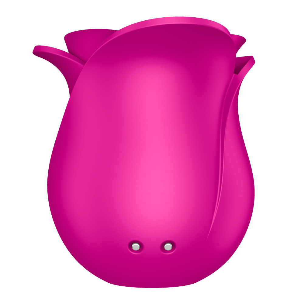 Satisfyer Pro 2 Modern Blossom Rechargeable Clitoris Stimulator