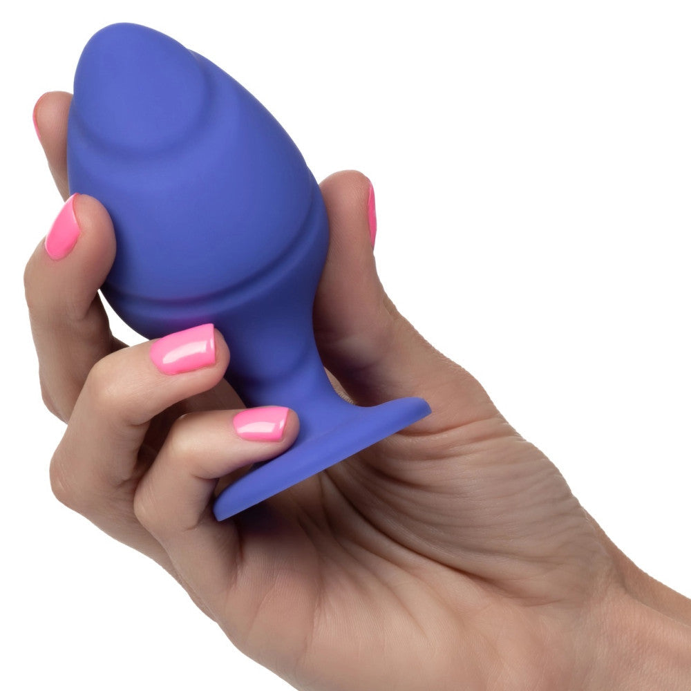 Set of 2 silicone anal dilators Cheeky blue