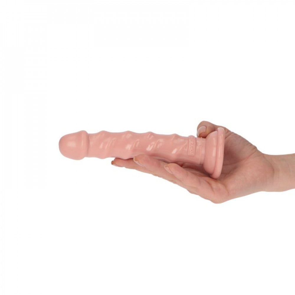 Small embossed anal dildo with vacuum base Ugo