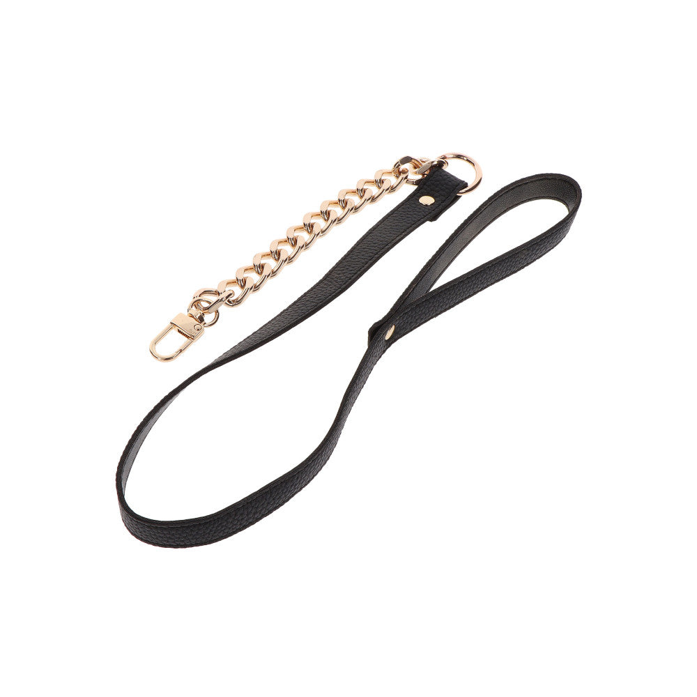 Taboom Dona Luxury BDSM collar with lead