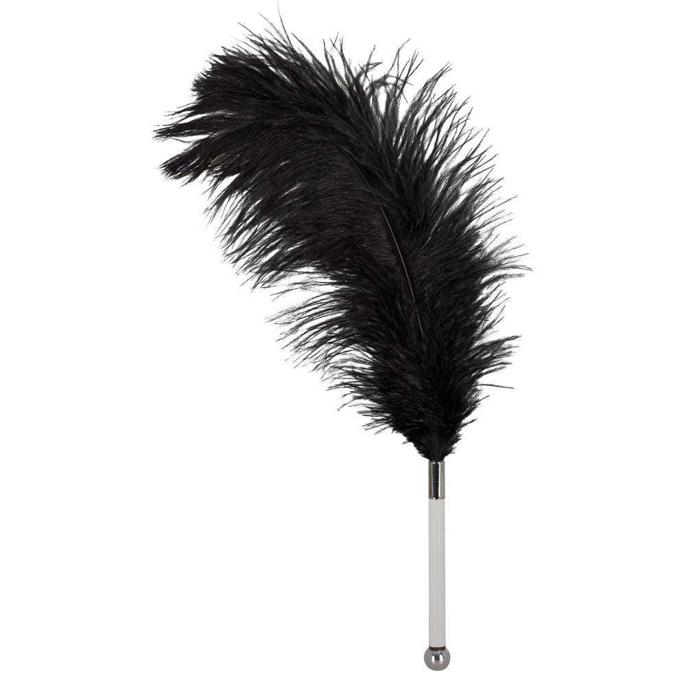 Ostrich Feather Tickler